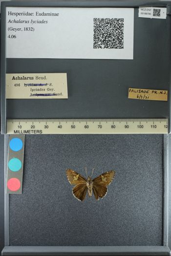 Media type: image;   Entomology 188795